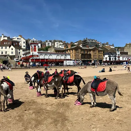 North Bay Nest House Vakantiehuis *