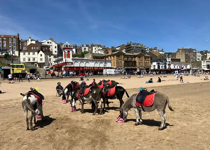 North Bay Nest House Semesterbostad *